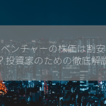 アドベンチャーの株価は割安なのか？投資家のための徹底解説！